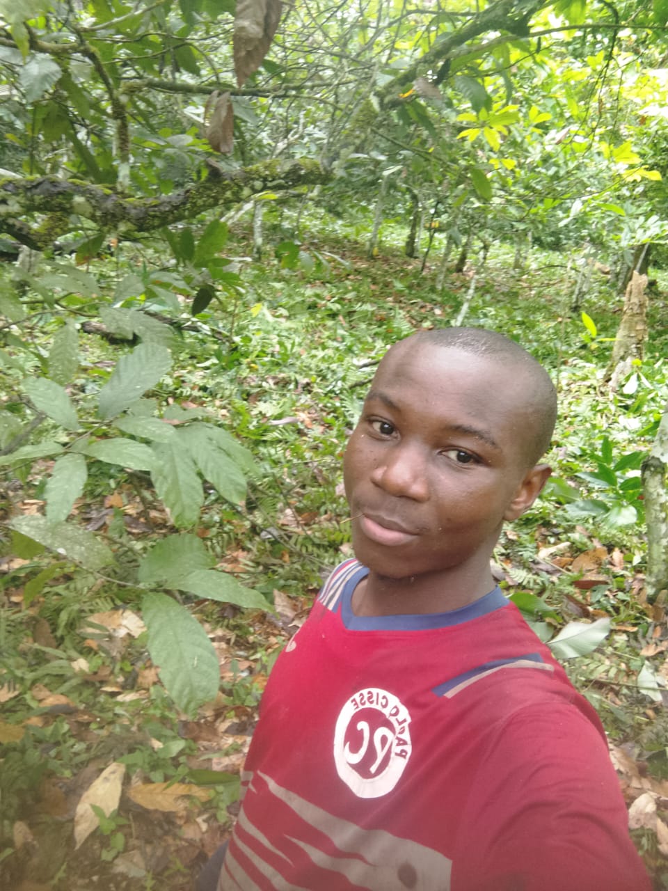 Cacaoyère familiale