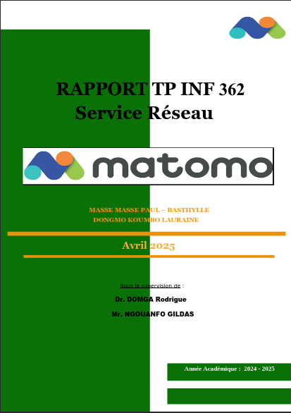 Rapport d'Analyse Matomo